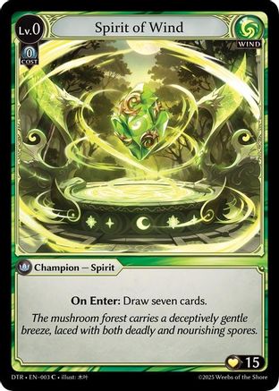 Spirit of Wind (003) - Distorted Reflections